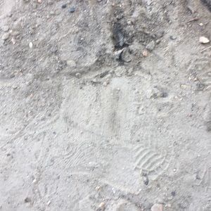 Meet your Posher, Nick